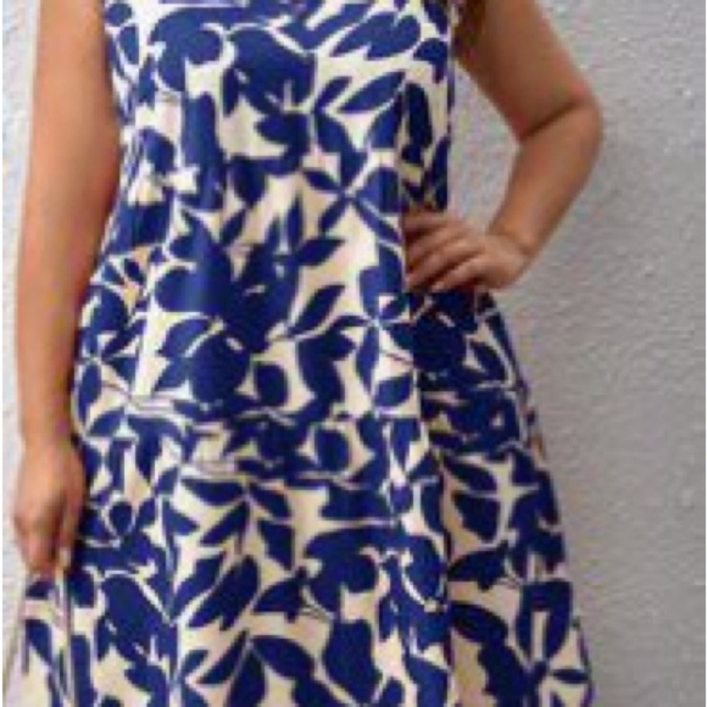 Blue and White Floral Dress